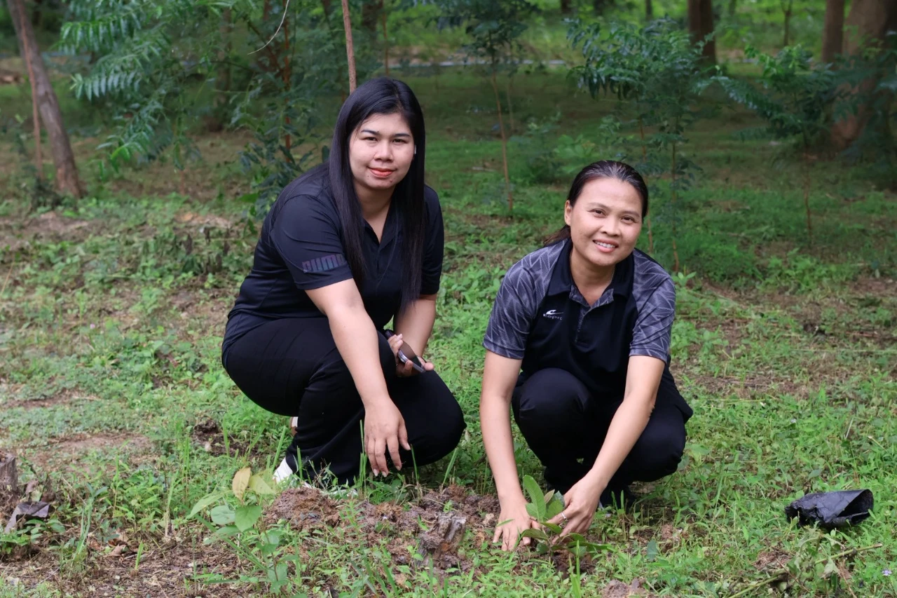 catalogs_file_206_5_28_546758.webp